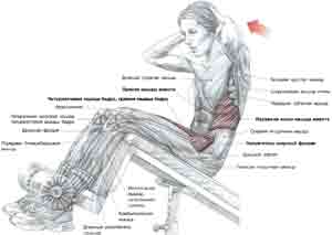 Упражнения Подъемы туловища