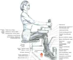 Упражнения Разгибание голени сидя