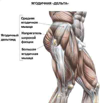 упражнения