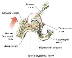 упражнения